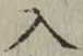 字入