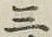 文字三