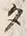 文字 タ