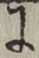 文字 に