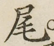 尾 위치 확인됨