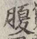 腹 위치 확인됨