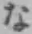 글자 な