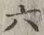 글자 六