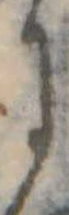 𛂌 위치 확인됨