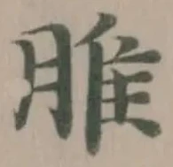 脽の位置