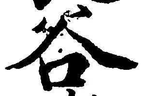 已定位谷