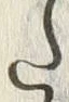 𡨸た