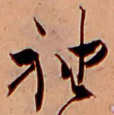 已定位袖