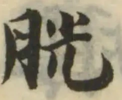 Đã định vị 胱