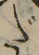 位置 確認된 だ