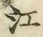 글자 江