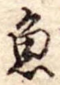 魚 위치 확인됨
