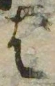 已定位ば