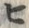 文字 ヒ
