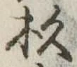 位置定マレル杉