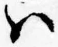Đã định vị 𛂞