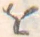 𛄜 위치 확인됨