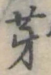 芽 위치 확인됨