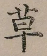 草 위치 확인됨