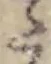 Đã định vị 𛁠