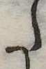 𛁠 위치 확인됨