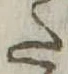 Đã định vị 𛁠