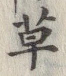 草，已得其位
