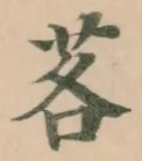 位置定マレル茖