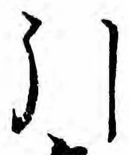 已定位引