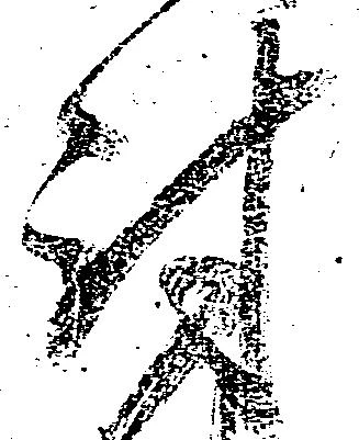 Đã định vị 討