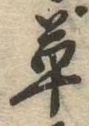 草 위치 확인됨