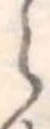 𛃰 위치 확인됨