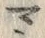 字マ