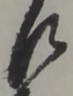 Đã định vị 乍