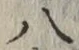 글자 八