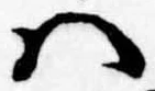 Đã định vị 𛂞