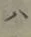字ハ