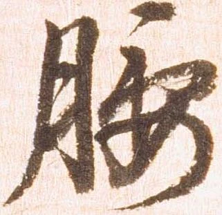 已定位腰