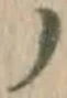 글자 ノ