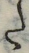 Đã định vị 𛁠