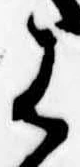 Đã định vị 𛂦