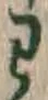 字わ
