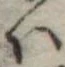 𛂞の位置