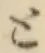 字と