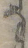 Đã định vị 𛂂