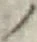 字ノ