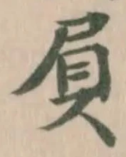 屓 위치 확인됨