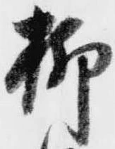 柳 위치 확인됨