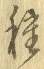 已定位種